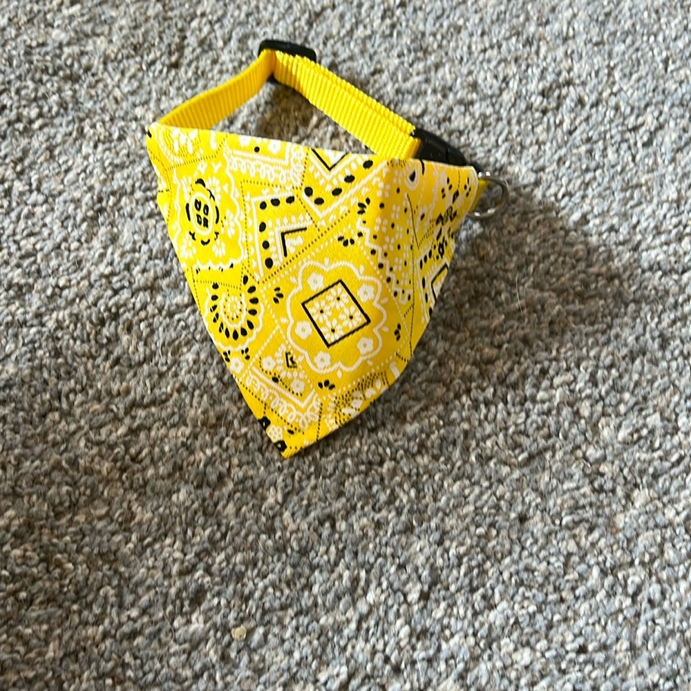 Dog/Cat collar with bandana